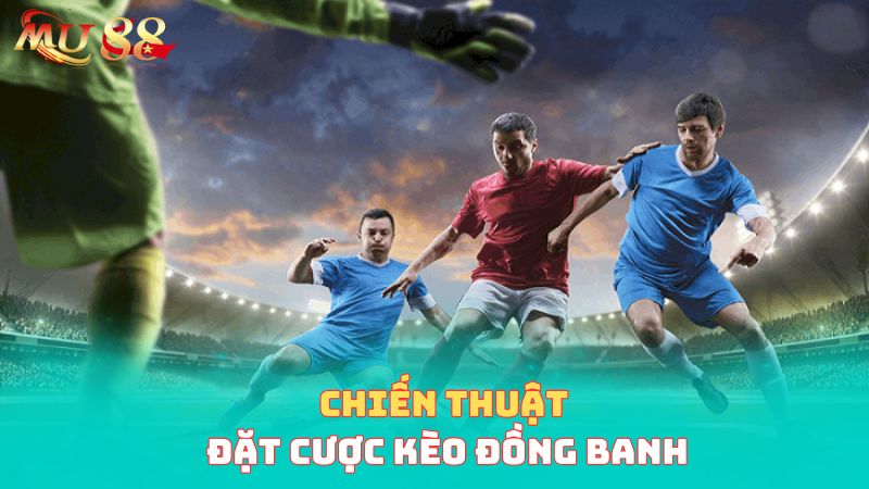 Chiến thuật đặt cược đồng banh