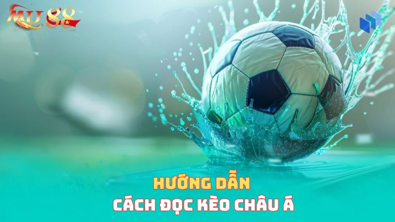 Hướng dẫn cách đọc kèo châu Á