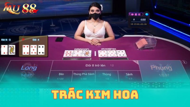 Trác Kim Hoa là gì?